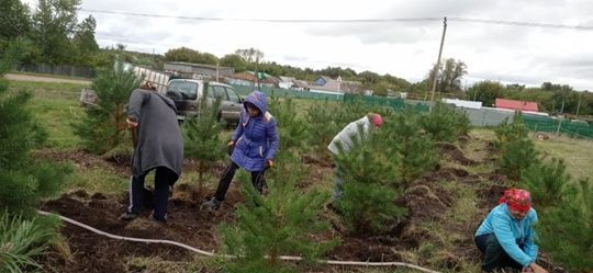 Байряки-Тамакский сельский дом культуры организовал субботник по озеленению территории