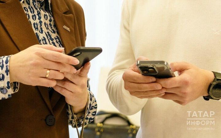 В Госдуме анонсировали разработку двух новых законов против мошенничества