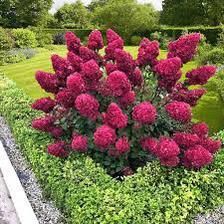 Погода: доброго утра и солнечного дня!