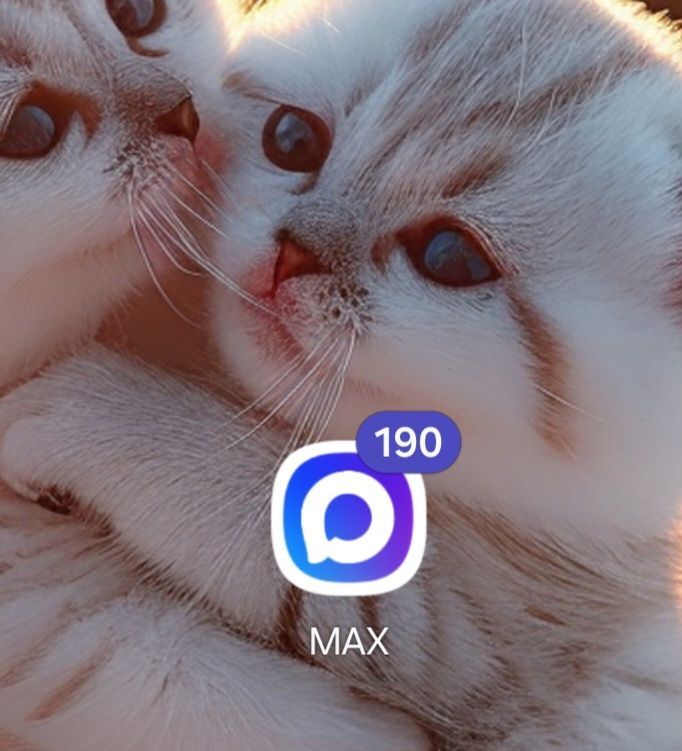 Меры безопасности в мессенджере MAX