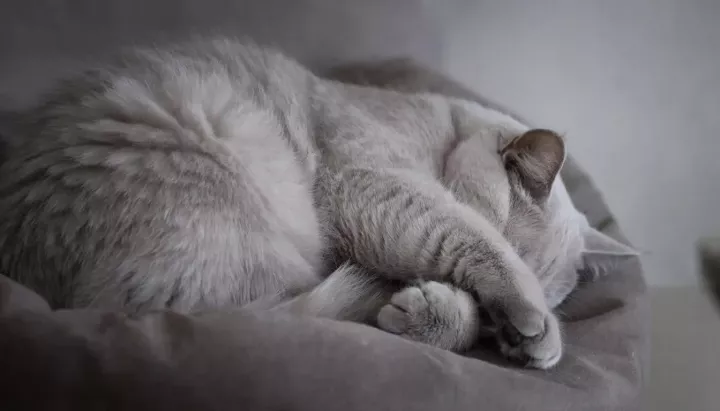 Народные приметы на 12 января