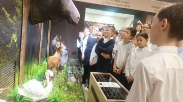 Новогодние сокровища краеведческого музея