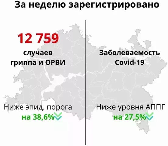 В РТ с начала года зафиксировано свыше 12 тысяч обращений по поводу ОРВИ