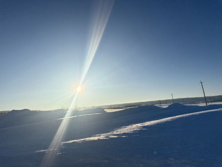 Воскресный день: наука, немного удачи и День риелтора!