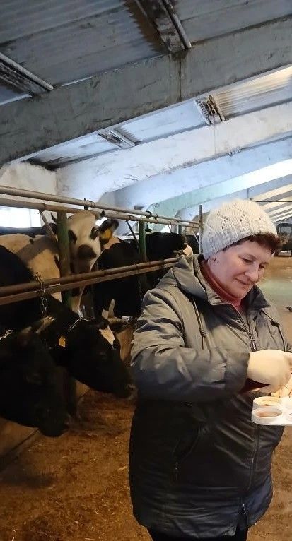 Плановые обследования РГВО: здоровье вымени под контролем