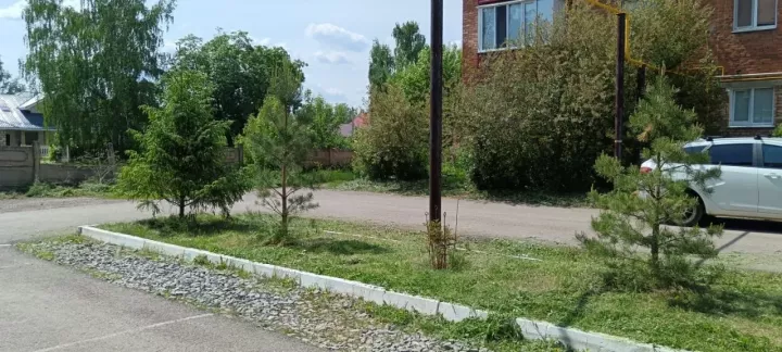 Апрель башында Татарстанда  «Безнең ишегалды» программасы буенча эшләргә старт бирелә