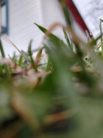 Всем доброго апрельского утра