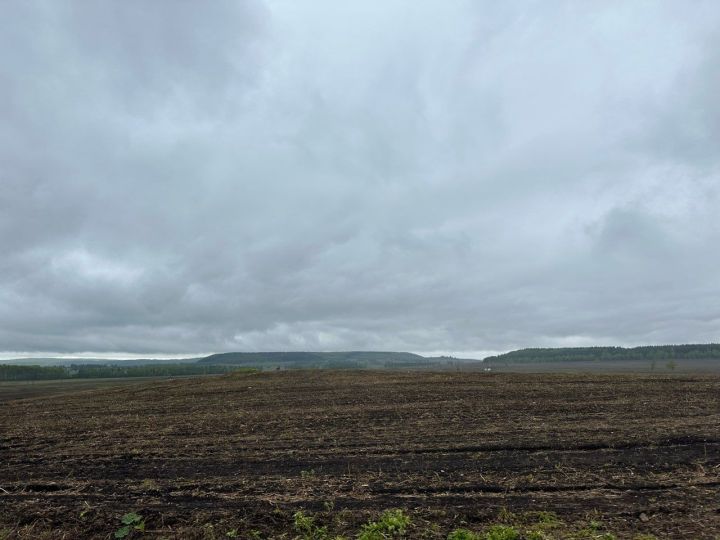 Татарстанда 9 майда көчле җил көтелә — секундына 18 метрга кадәр