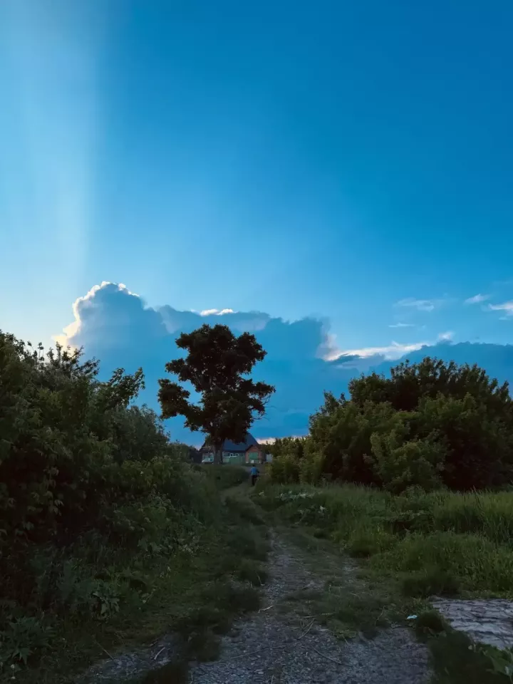 Доброе утро!