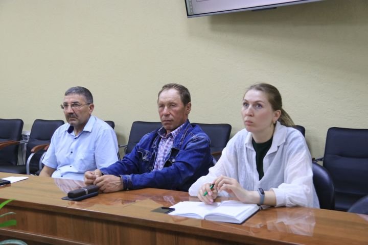 Зерно не в цене – в ход идут масленичные