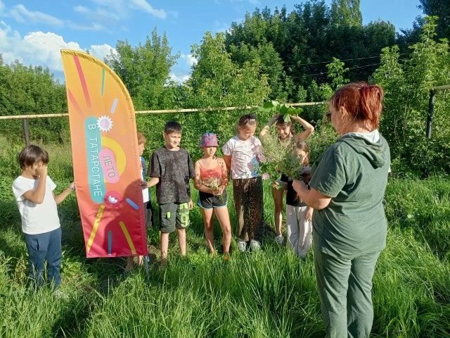 Как подружиться с лекарственными травами