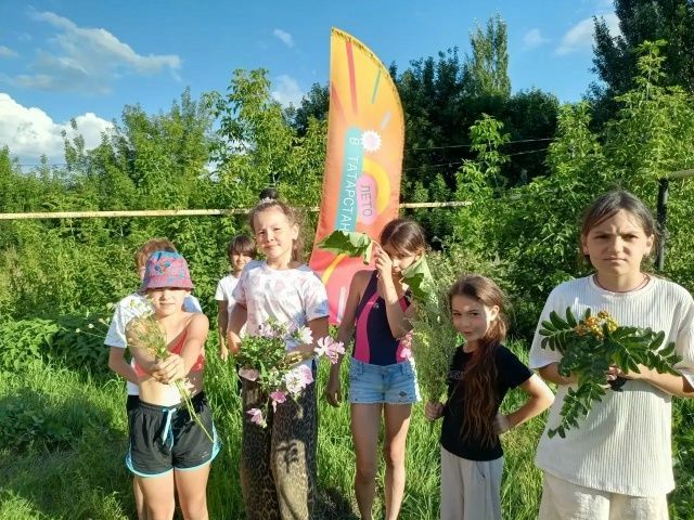 Как подружиться с лекарственными травами