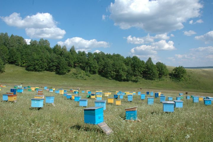Народный прогноз: приметы на 10 августа