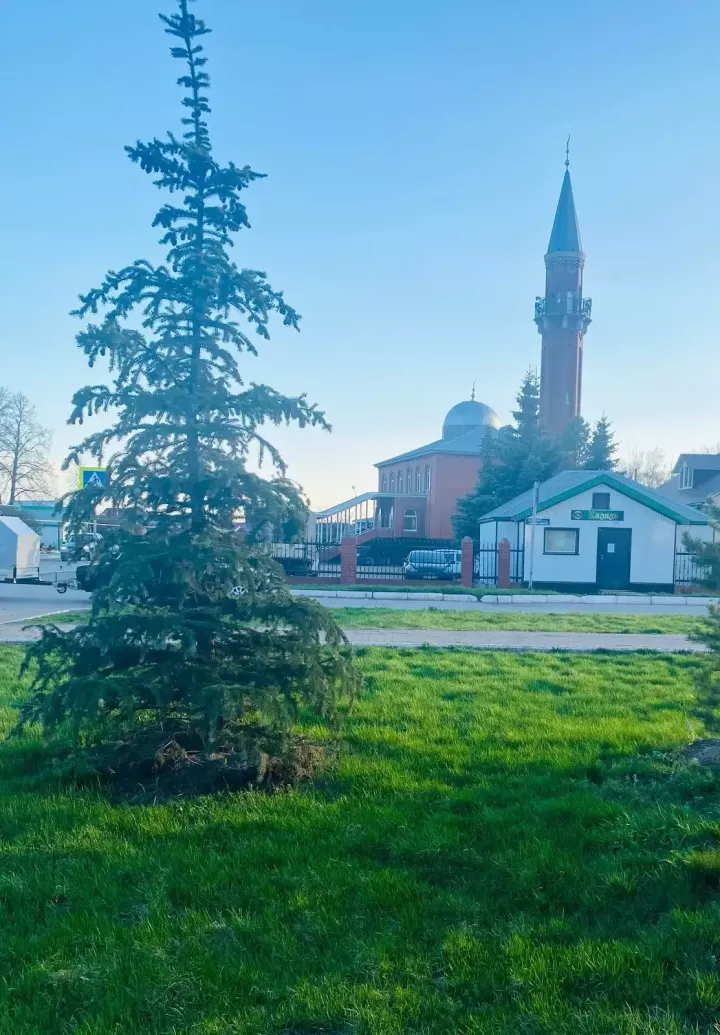 Начало дня — время для важных решений